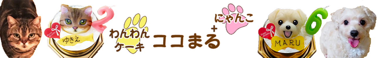 わんわんケーキ　ココまる