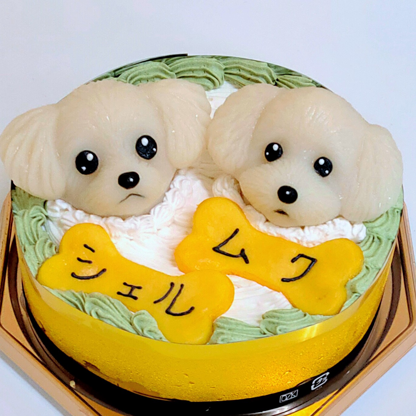 犬用バースデーケーキ トイプードル