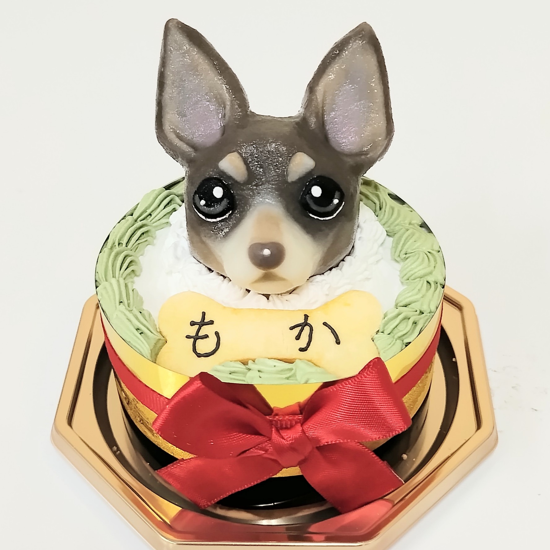 チワワ×ミニチュアピンシャー