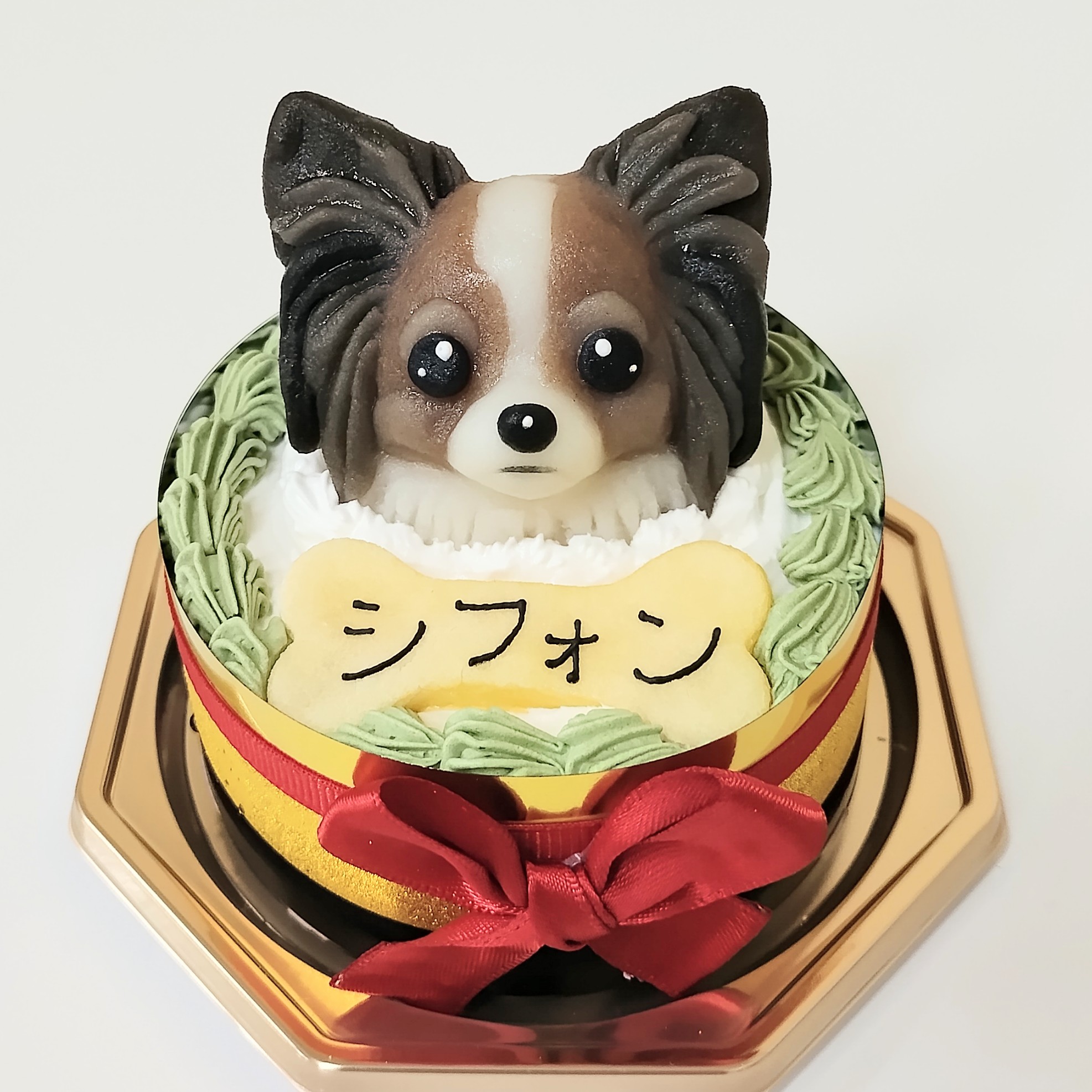 パピヨン　バースデーケーキ