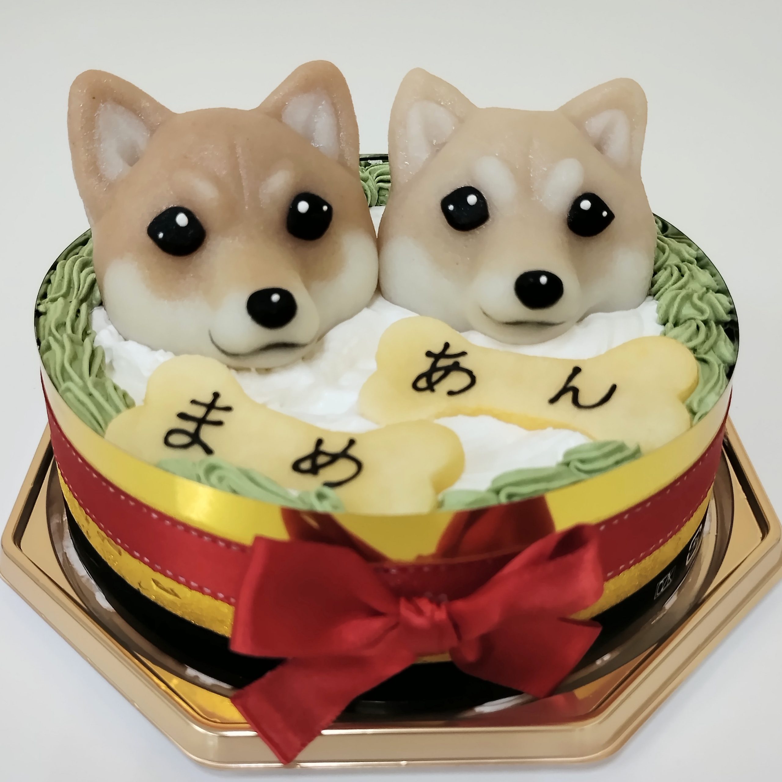 豆柴　柴犬　バースデーケーキ