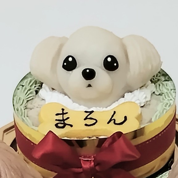 トイプードル×ポメラニアン　バースデーケーキ