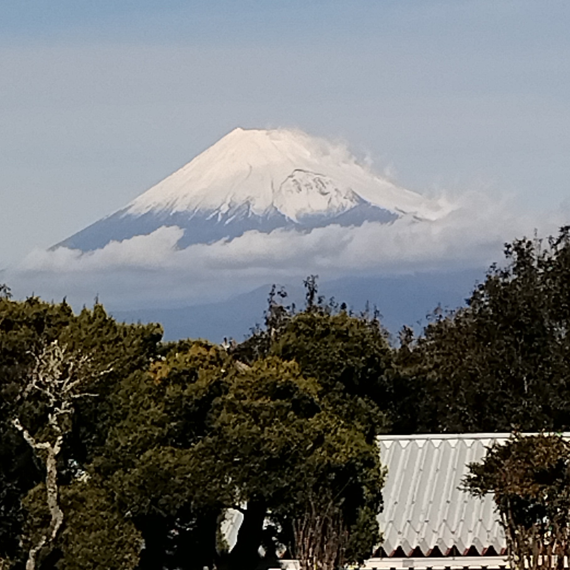 あけましておめでとうございます